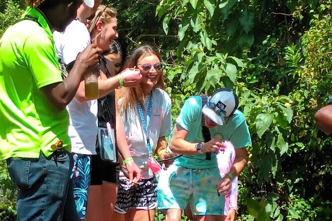 Hotels/AirBnb in Montego Bay Transportation Services and Transfer - In-Depth Review of the Montego Bay Transportation Service