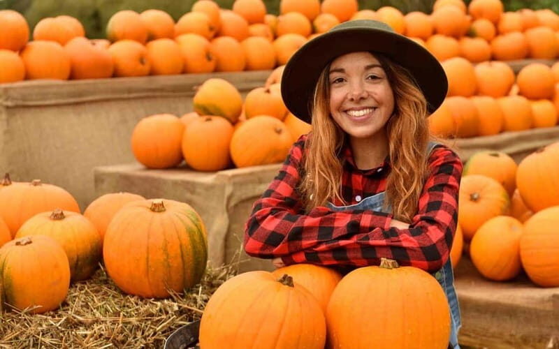 Hounslow: Pumpkin Patch Plus Entry to Hobbledown Heath - Hounslow: Pumpkin Patch Plus Entry to Hobbledown Heath — An Authentic Family Day Out