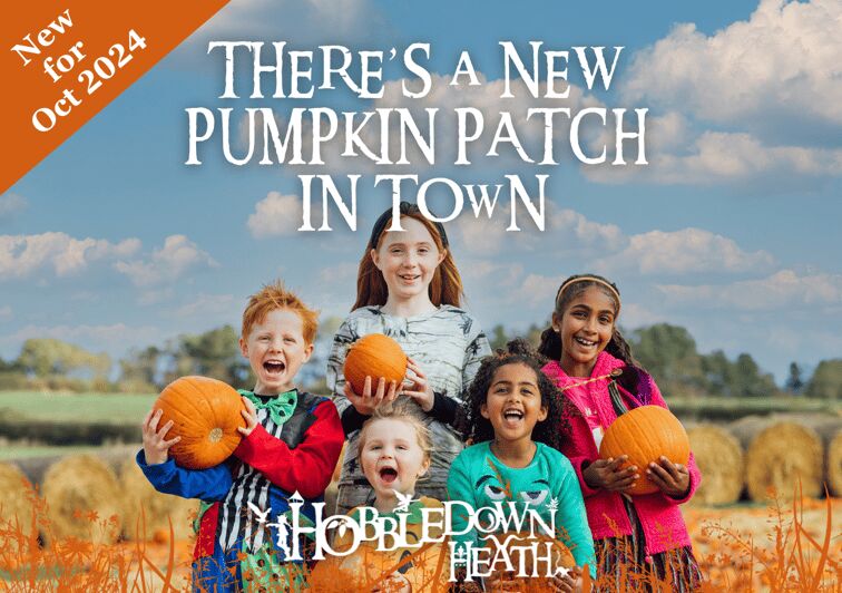 Hounslow: Pumpkin Patch Plus Entry to Hobbledown Heath - Final Thoughts