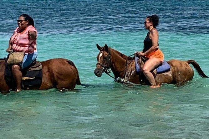 Hour Horseback Riding Guided Tour from Runaway Bay - Key Points