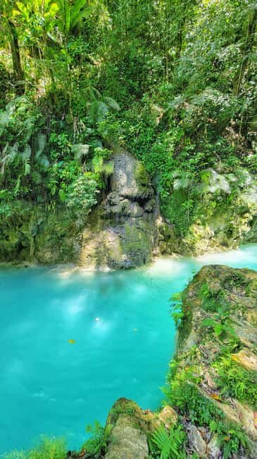 Hour Rio Partido's Secret River Trail with Lunch - Key Points