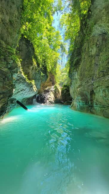 Hour Rio Partido's Secret River Trail with Lunch - A Close Look at the Rio Partido Adventure