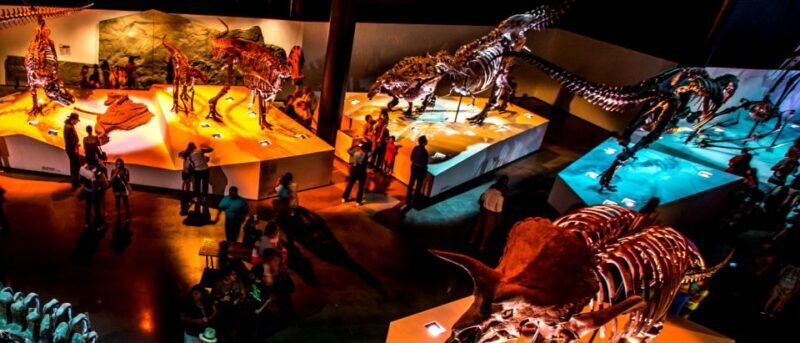 Houston: 1-Day or 3-Day Museum Pass - The Ultimate Breakdown of the Houston Museum Pass