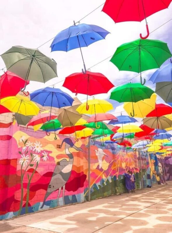 Houston : Best Street Food Tour With A Local Guide - Exploring Houston’s Street Food Scene: An In-Depth Review