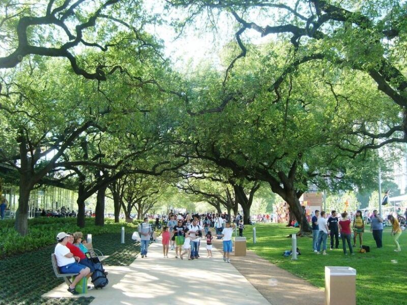 Houston: City Sightseeing Tour by Electric Cart - Pricing and Value