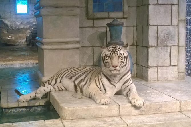 Houston City Tour and Downtown Aquarium All Rides Pass - An In-Depth Look at the Houston City Tour and Downtown Aquarium All Rides Pass