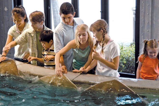 Houston City Tour and Downtown Aquarium All Rides Pass - Frequently Asked Questions