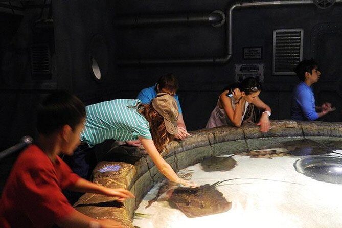 Houston CityPASS® - FAQ