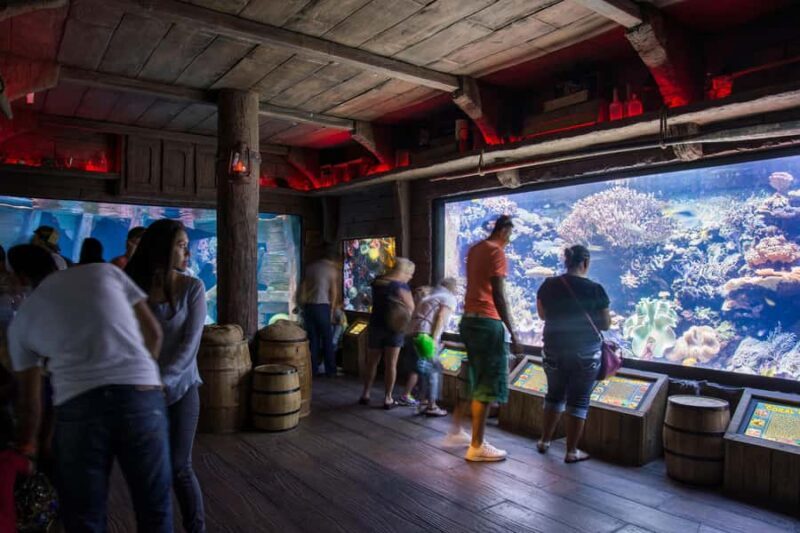 Houston: Downtown Aquarium All Day Pass - Final Thoughts