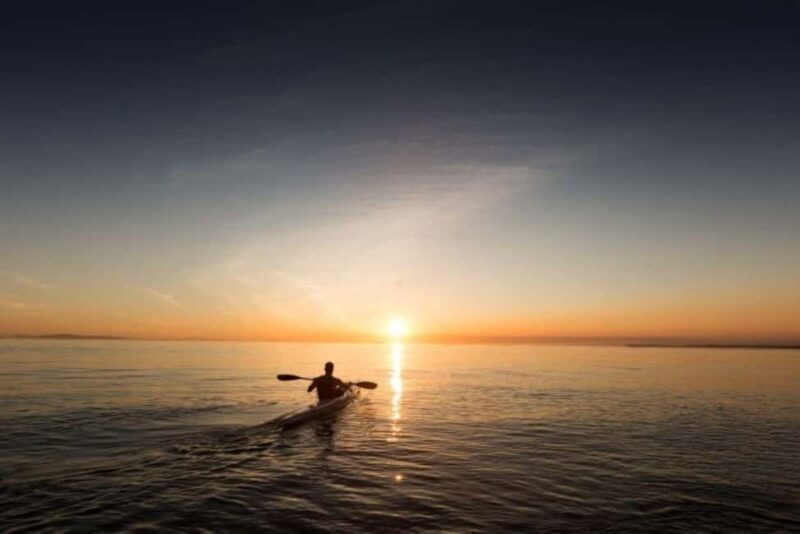 Houston: Kayak and Paddleboard Rental - The Sum Up: Is It Worth It?