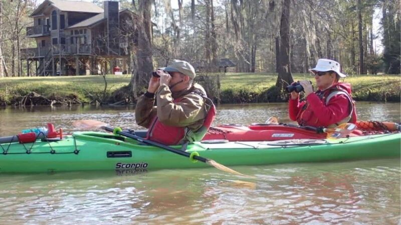 Houston: Luce Bayou Kayaking Tour - Key Points