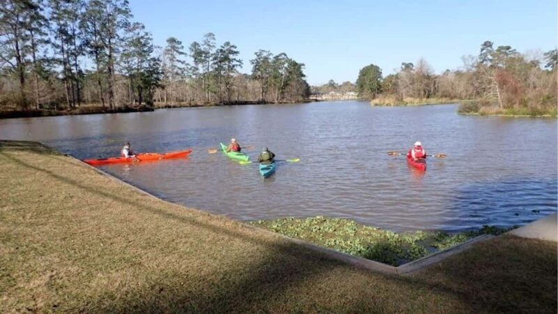 Houston: Luce Bayou Kayaking Tour - Discover the Scenic Beauty of Luce Bayou