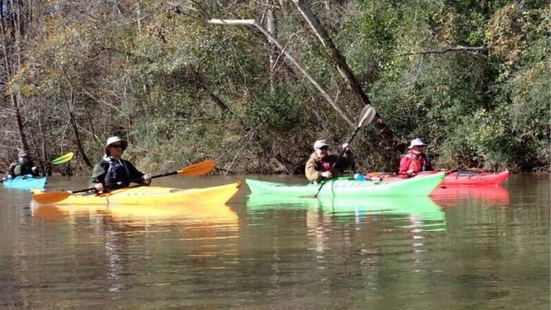 Houston: Luce Bayou Kayaking Tour - The Sum Up