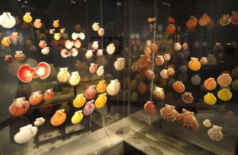 Houston: Museum of Natural Science Entry & Digital Tour - The Sum Up