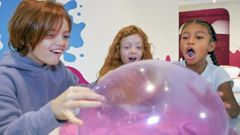 Houston: Sloomoo Institute Entry Ticket - FAQs