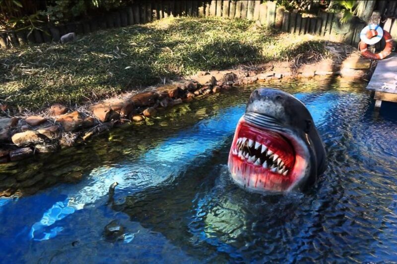 Houston Tour and Aquarium Ticket - The Highlights of the City Tour