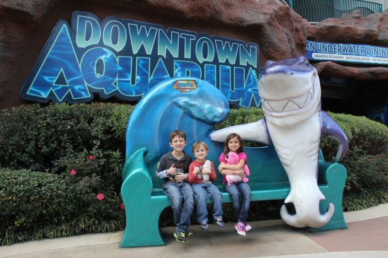 Houston Tour and Aquarium Ticket - Practical Considerations and Tips
