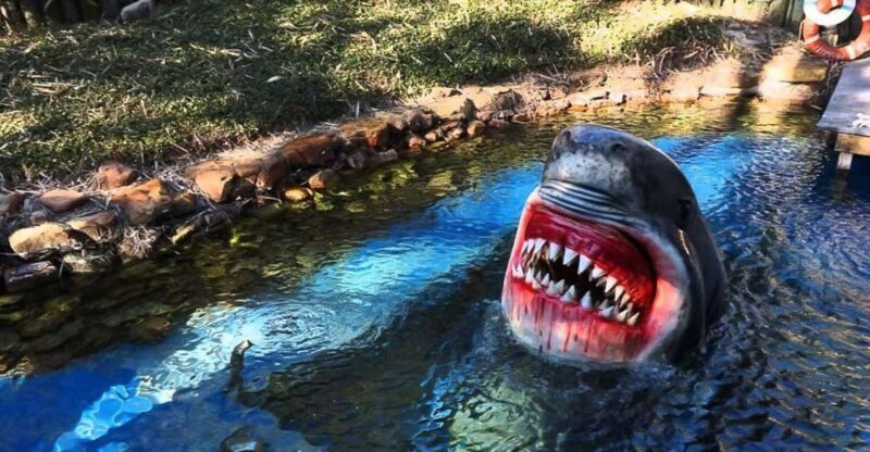 Houston Tour and Aquarium Ticket - Who Will Enjoy This Tour?