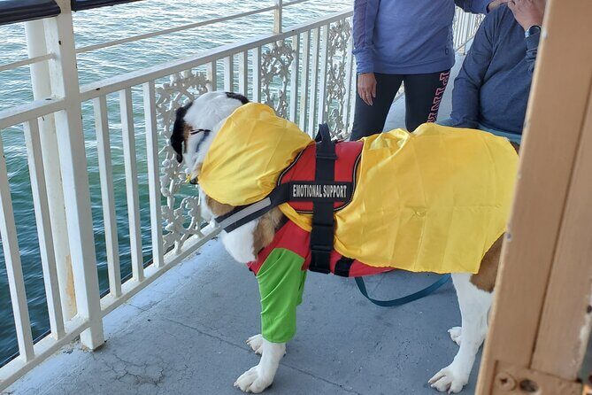 Howl O Ween Doggy Costume Party Cruise - An Unlikely Halloween Adventure in Boston: The Howl O Ween Doggy Costume Party Cruise