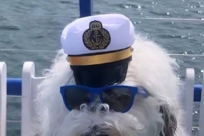 Howl O Ween Doggy Costume Party Cruise - Why This Tour Offers Real Value