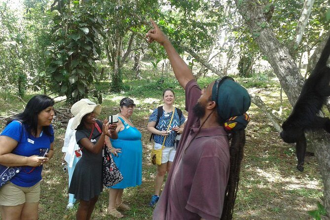 Howler Monkey Sanctuary and Kukumba Beach from Belize City - FAQ