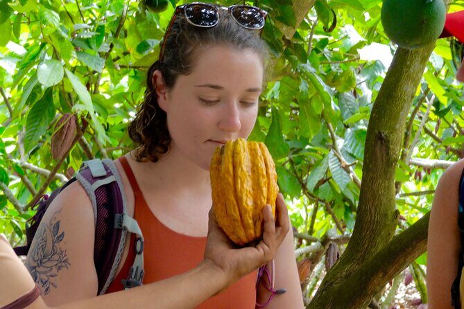 Howler Monkey Trail and Cacao Farm Experience from Guayaquil - A Deep Dive into the Howler Monkey Trail and Cacao Farm Tour