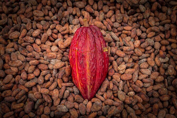 Howler Monkey Trail and Cacao Farm Experience from Guayaquil - Final Thoughts