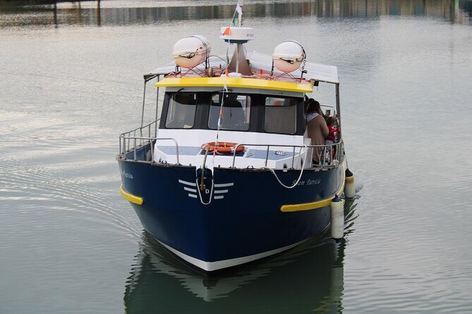Howth Cliff Cruises - Who Will Love This Tour?