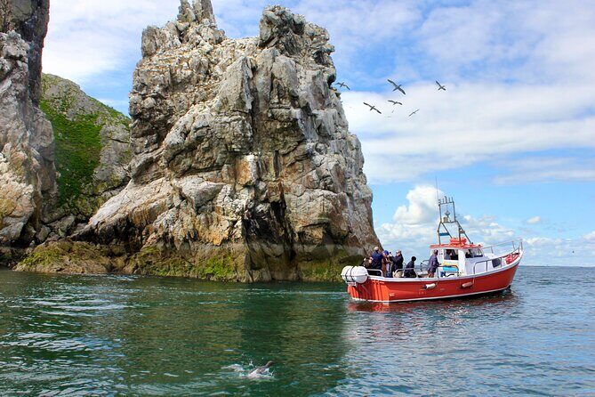 Howth Coastal Boat Tour (Ireland's Eye Ferries 50 mins trip) - Discover the Beauty of Howth with a Coastal Boat Tour