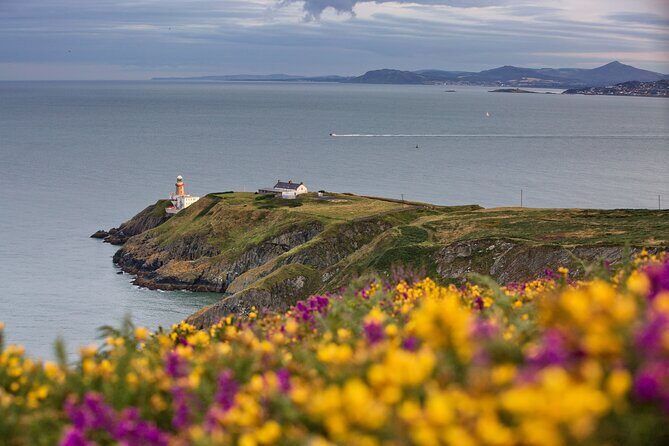 Howth Coastal Half-Day Bus Tour from Dublin with Live Guide - A Quick Look at the Howth Coastal Half-Day Bus Tour