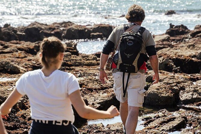 Howth Safari Hiking Tour - What’s Included and What’s Not