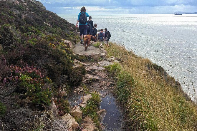 Howth Safari Hiking Tour - Tides, Weather, and Trails