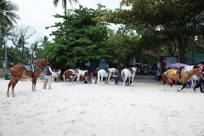 Hua Hin customize day tour - The Sum Up: Who Is This Tour Best For?