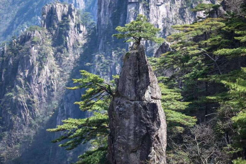Huangshan: Mountain Top Day Trip with Cable Car and Pickup - Final Thoughts