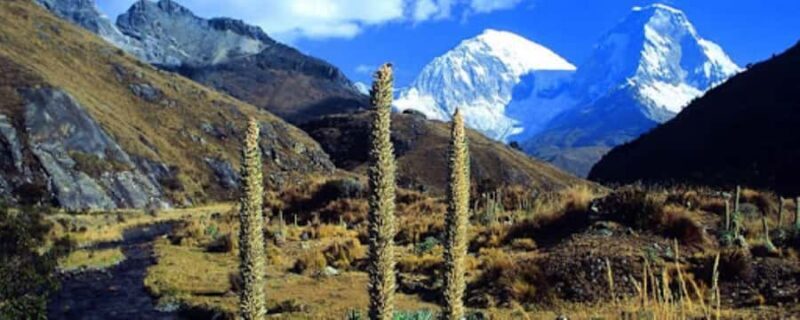 Huaraz: Exploring the Majestic Lagoon 69 - Return Journey and Reflection