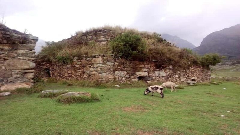 Huaraz: Full Day Honcopampa + Chancos Hot Springs - Final Thoughts: Value and Authenticity in One Package