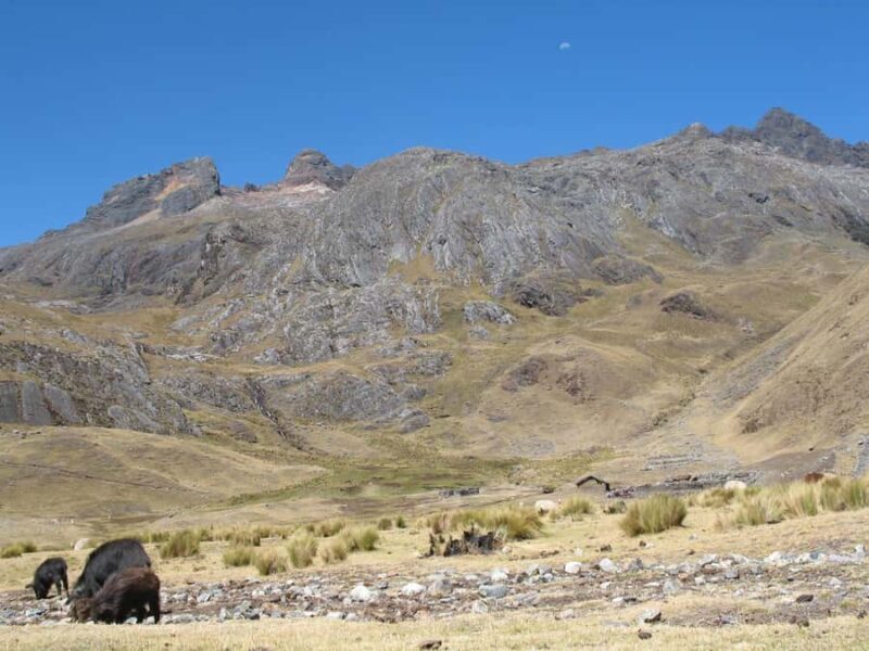 Huaraz: Hatunmachay Rock Climbing Day Trip - The full adventure: what to expect on your Hatunmachay day trip