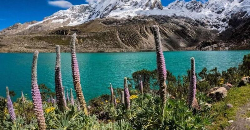 Huaraz: Rocotuyoc Lagoon - Frozen Lagoon | Hiking | - Final Thoughts: Who Will Appreciate This Tour?