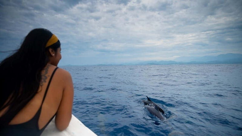 Huatulco: Awakening with Stars Dolphins Boat Cruise - Huatulco: Awakening with Stars Dolphins Boat Cruise