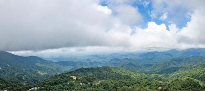 Huatulco: Pluma Hidalgo Coffee Origin and Essence. - Huatulco: Pluma Hidalgo Coffee Origin and Essence – A Deep Dive into Oaxaca’s Coffee Culture