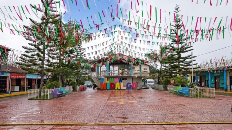 Huatulco: Pluma Hidalgo Coffee Origin and Essence. - What We Love About This Tour