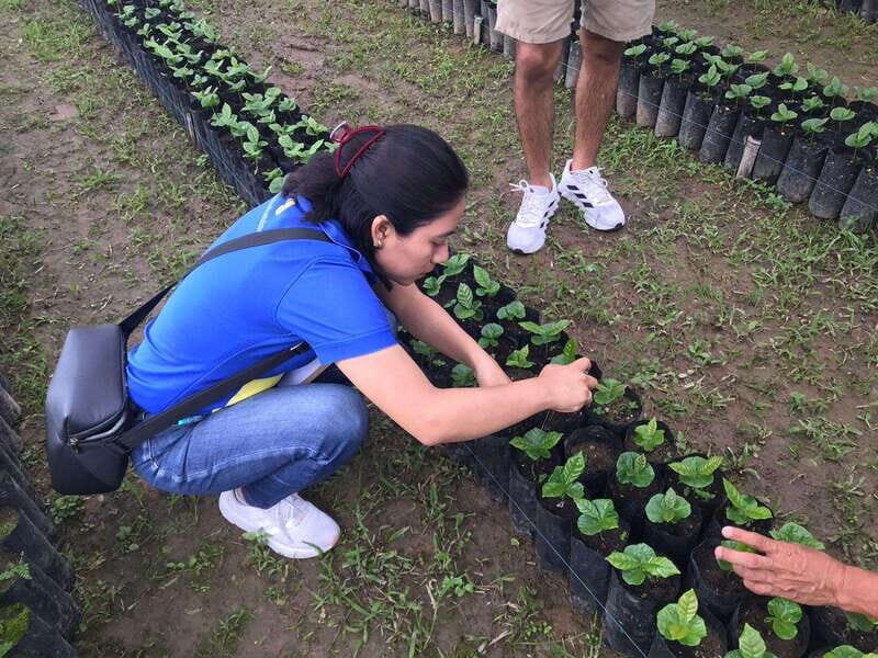 Huatulco: Pluma Hidalgo Coffee Origin and Essence. - Potential Drawbacks and Considerations