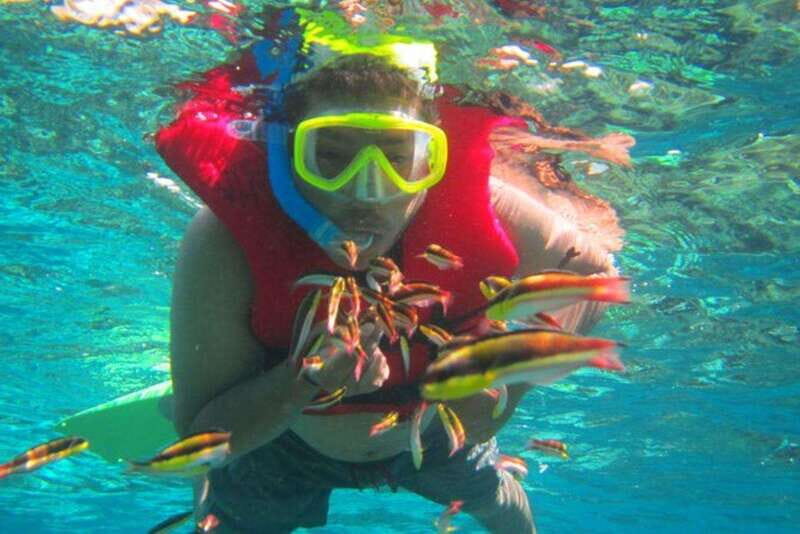 Huatulco: Premium Family Snorkeling Experience - Key Points