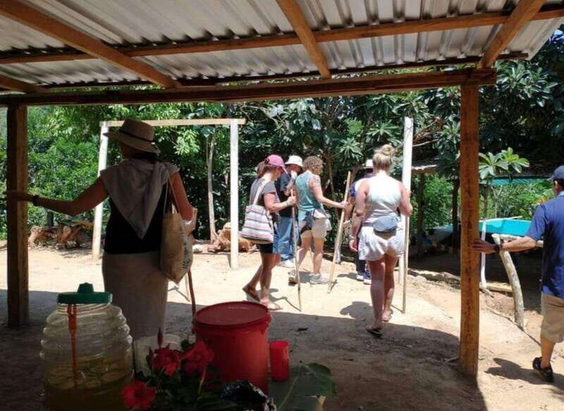 Huatulco: Private Coffee and Fruit Ranch Experience - A Closer Look at the Huatulco Coffee and Fruit Ranch Experience