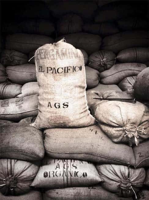 Huatulco: Santa Maria and Pluma Hidalgo Coffee Tour - A Complete Guide to the Santa Maria and Pluma Hidalgo Coffee Tour