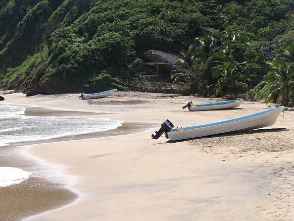 Huatulco Shore Excursion: Seven Bays Private Tour - Key Points