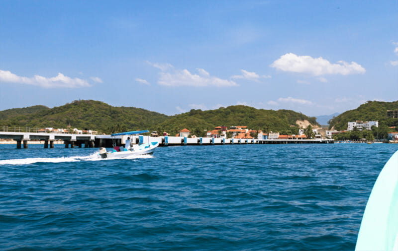 Huatulco: Sunrise Dolphin Watching with Beach Visit - The Full Experience: A Detailed Look