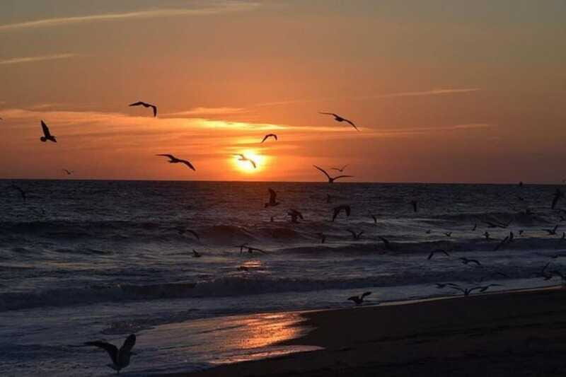 Huatulco: Unique Turtle Sanctuary & Sunset Experience - Who Should Consider This Tour?