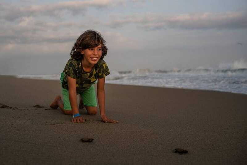 Huatulco: Unique Turtle Sanctuary & Sunset Experience - The Sum Up