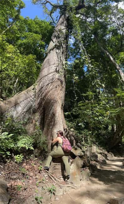 Huatulco: Waterfalls Tour with Buffet Lunch - Key Points